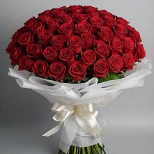 Букет 101 Красная роза Блэк Мэджик в Гаджиево