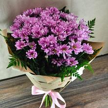 Букет цветов из:  Хризантемы #REPLACE_PRED# Гаджиево