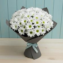 Букет цветов из:  Хризантемы в Гаджиево