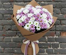 Букет цветов из:  Хризантемы в Гаджиево