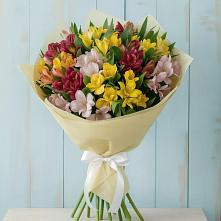 Букет цветов из:  Альстромерии в Гаджиево