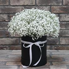 Цветочная композиция из Гипсофила в шляпной коробке в Гаджиево