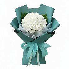 Букет цветов из:  Гортензия #REPLACE_PRED# Гаджиево